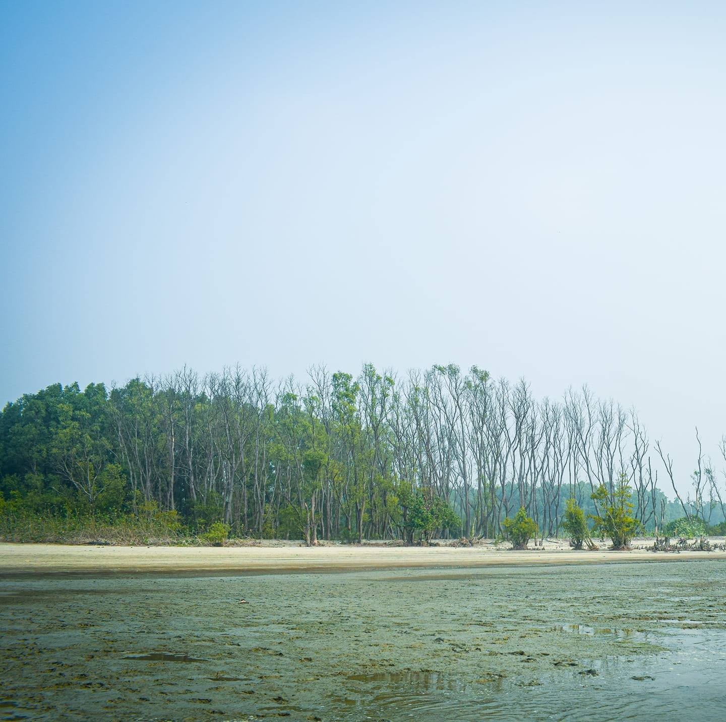 অপরুপ সৌন্দর্যের লীলাভূমি তারুয়া দ্বীপ