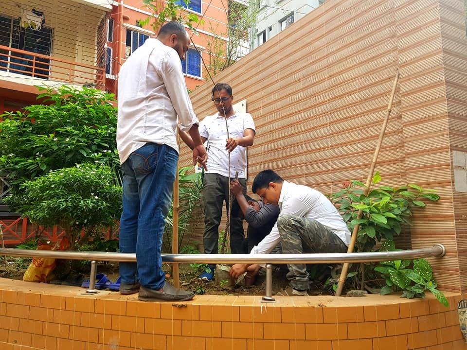 তিন বন্ধুর উদ্যোগে রাজধানীতে বৃক্ষরোপণ