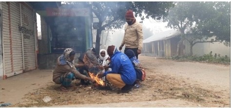 কুষ্টিয়া দৌলতপুরে হাড় কাঁপানো শীত ও ঘন কুয়াশায় চাষাবাদে ভোগান্তিতে সাধারণ মানুষ