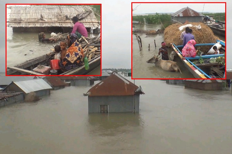 শুকনো খাবার,বিশুদ্ধ পানি,গো-খাদ্যে ও জ্বালনির তীব্র সংকটে বানভাসি মানুষ