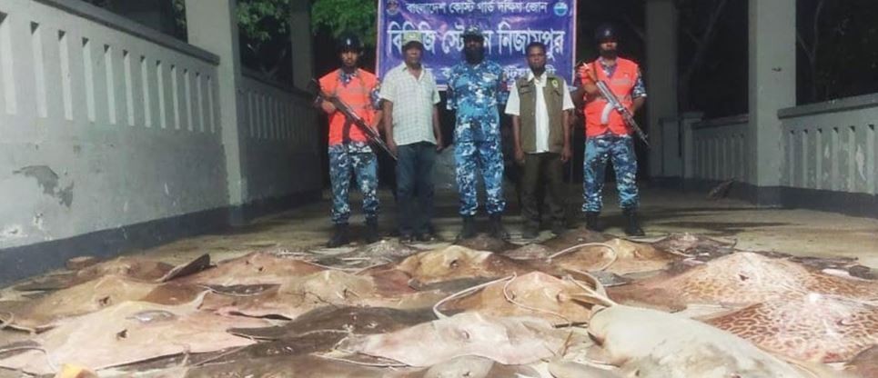 নিষিদ্ধ ৫০ মণ শাপলাপাতা মাছ ও ১ মণ হাঙর পাওয়া গেল ট্রলারে